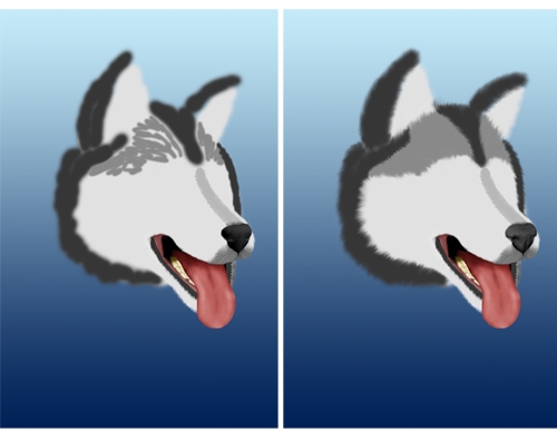 Creation of Husky: Step 4