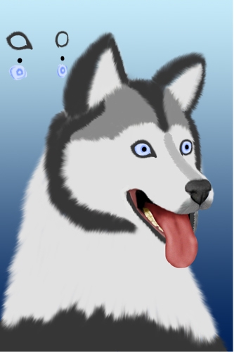 Creation of Husky: Step 5