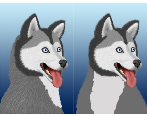 Creation of Husky: Step 6