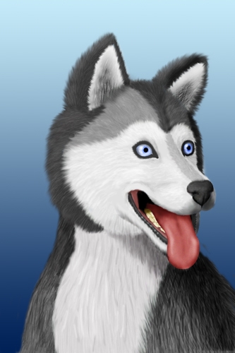 Creation of Husky: Step 7