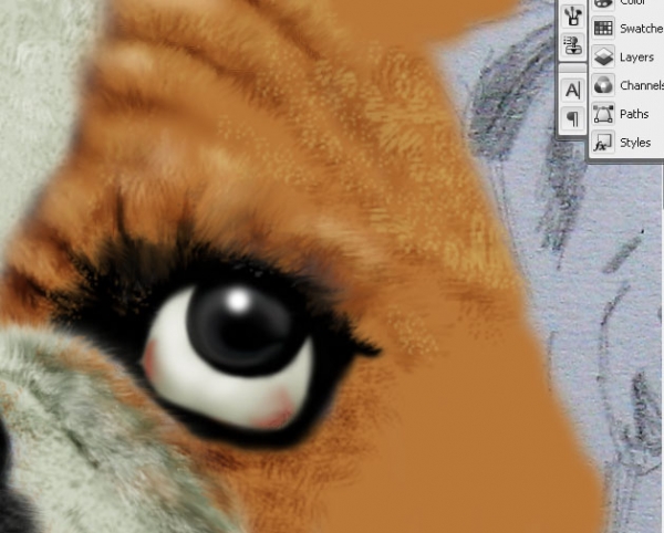 Creation of the look: Step 6