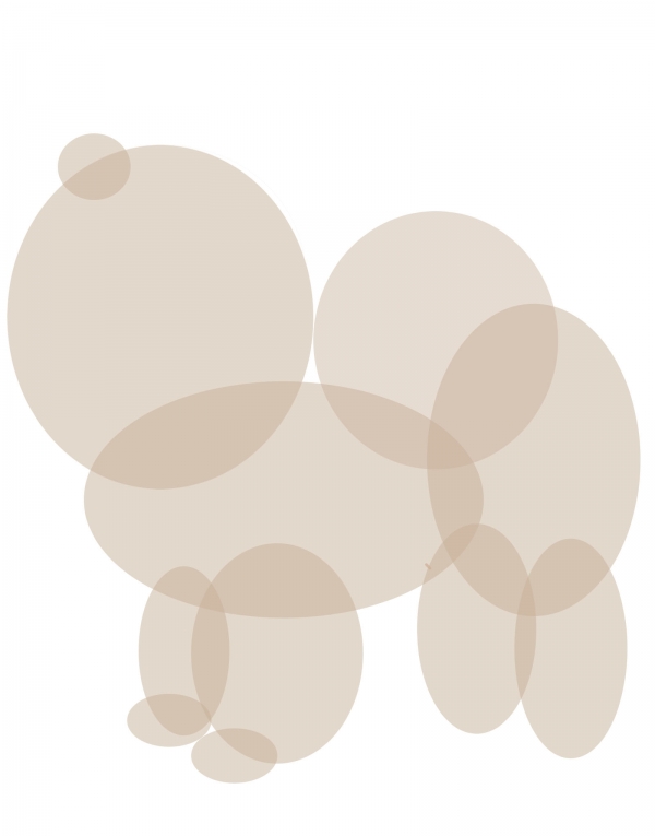 Creation of Chow Chow: Step 2