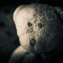 NightNightTeddy