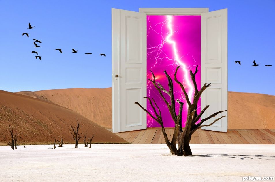 Desert Storm Door