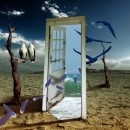 door mania 2019 photography contest