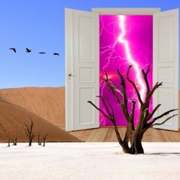 DesertStormDoor