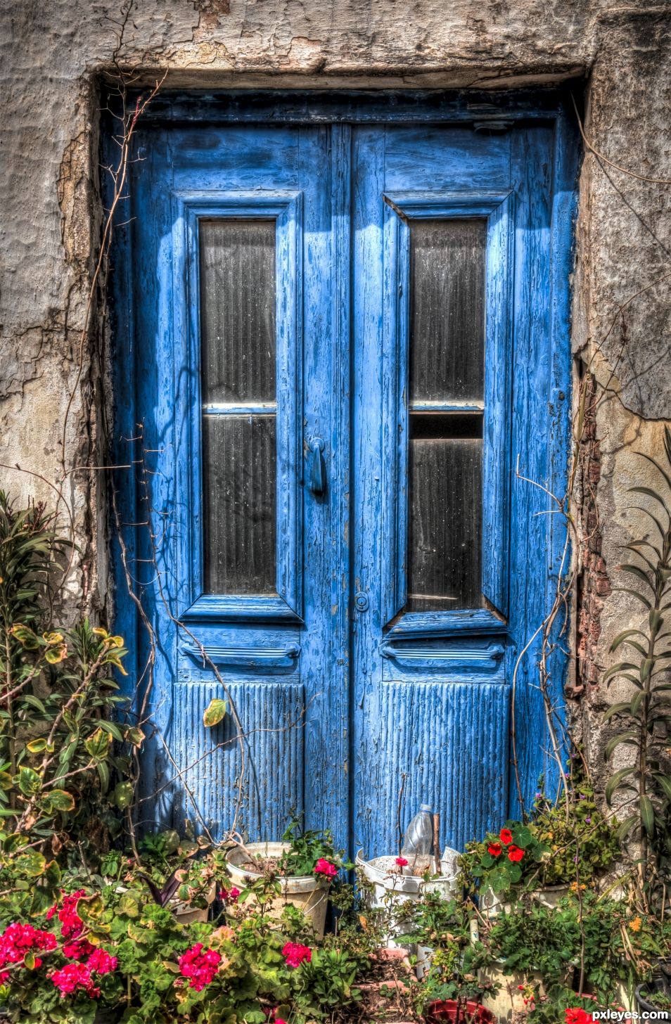 Floral Abandoned Door...