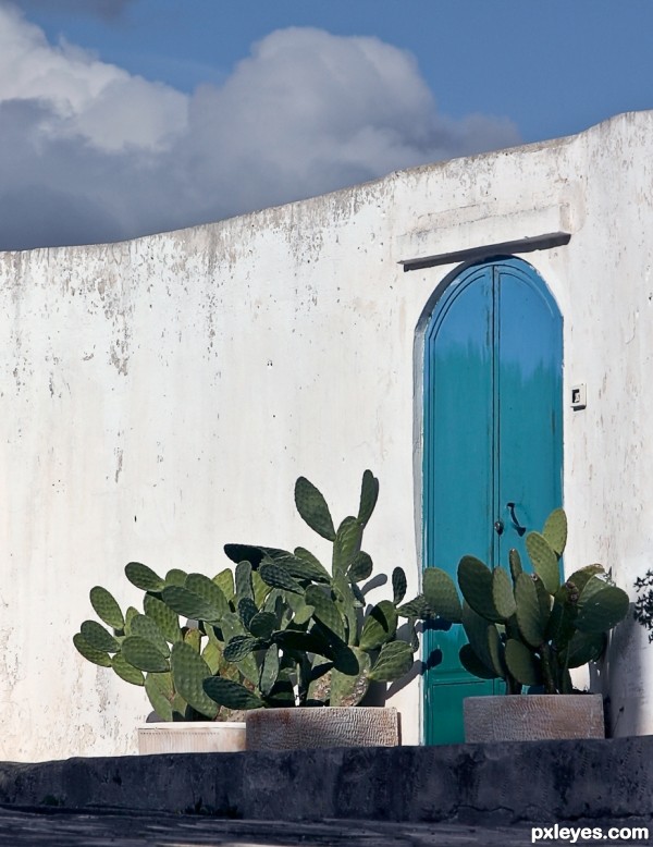 Cactus and Clouds