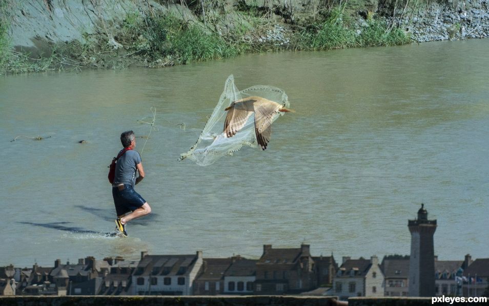 Fishing a bird