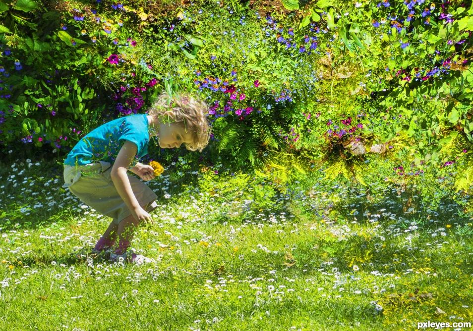 Picking flowers in Flowerland