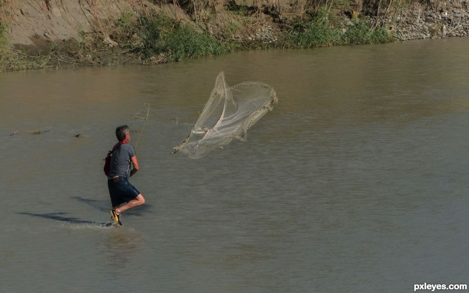 Creation of Fishing a bird: Step 1