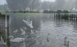 On the lake