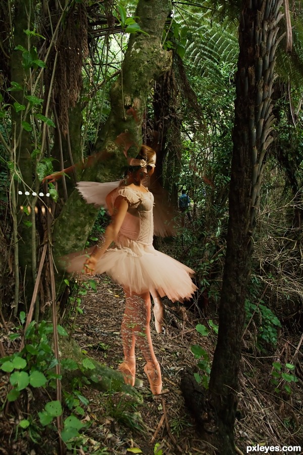 Creation of Fairies in the forest: Final Result