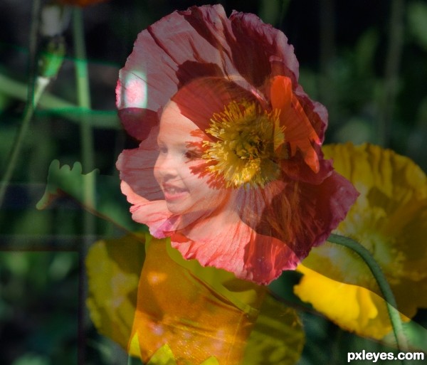 Flower Girl