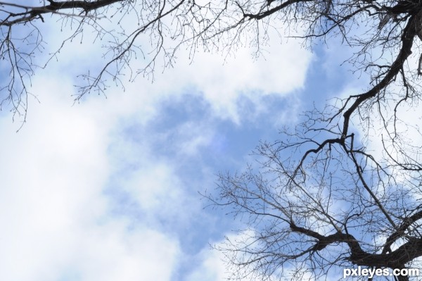 Creation of In the sky: Step 1