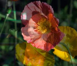 FlowerGirl