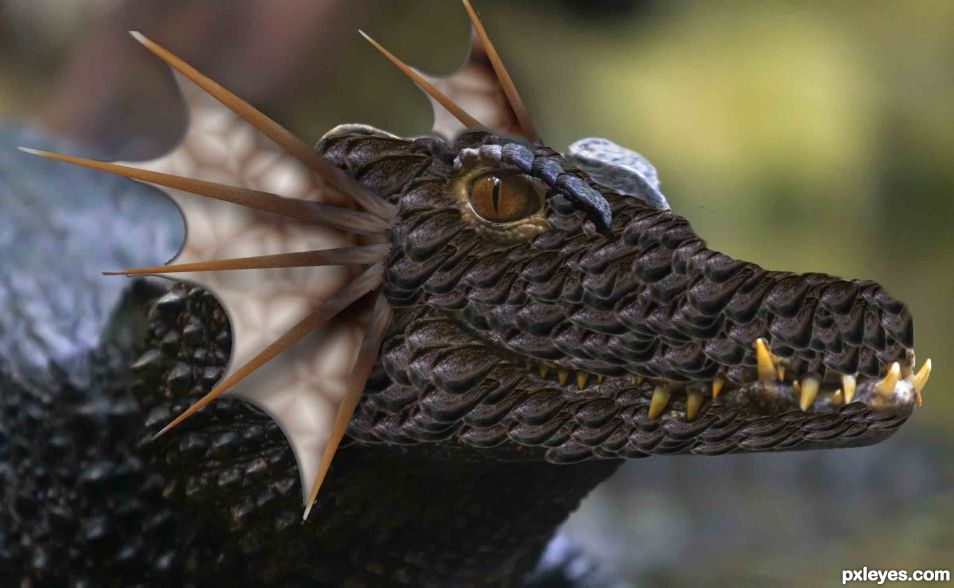 Creation of Black Dragon: Step 7