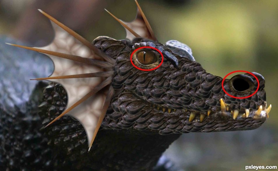 Creation of Black Dragon: Step 8