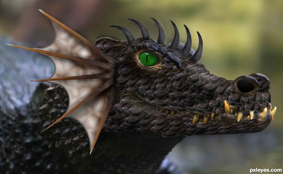 Creation of Black Dragon: Step 10