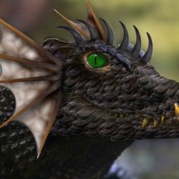 Black Dragon Picture