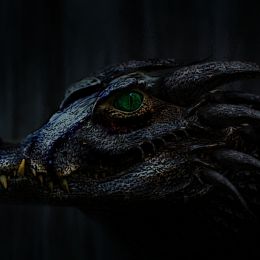 GREENEYEDALLIGON