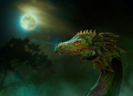 Dragon in the myst Picture