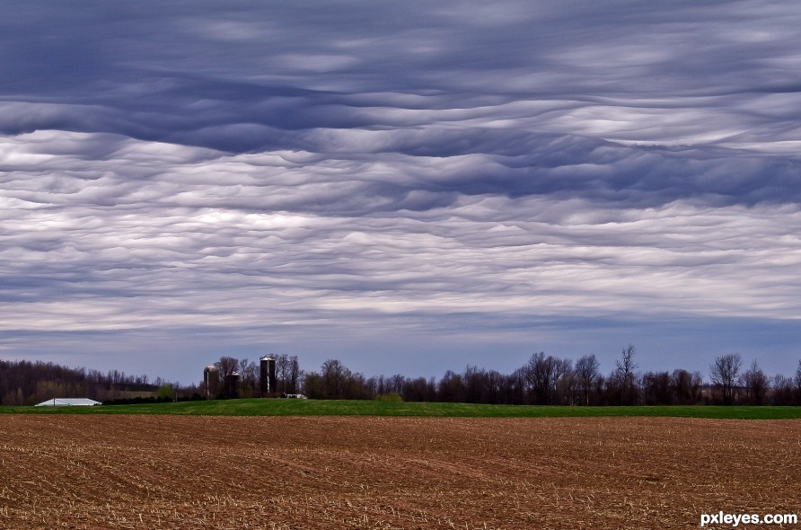 Mammatus Clouds