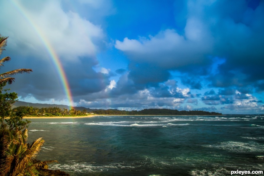 Oahu Bow