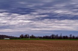 Mammatus Clouds