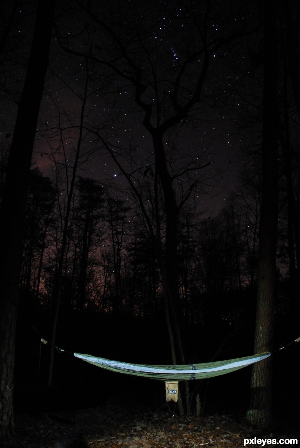 Hammocking Under the Stars