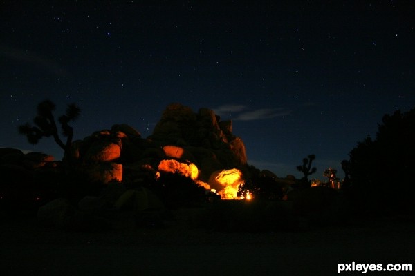 Joshua Tree Night