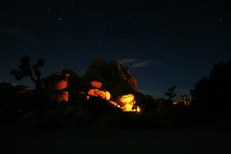 Joshua Tree Night Picture