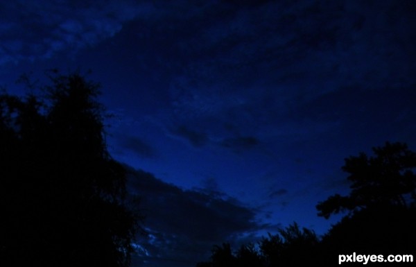 Blue Night