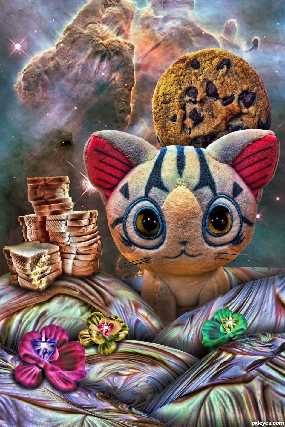 Sliced Bread, Chocolate Chip Cookie and Stuffed Kitten Scape