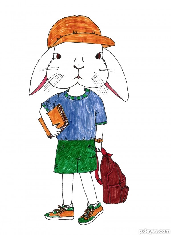 Rabbit to school