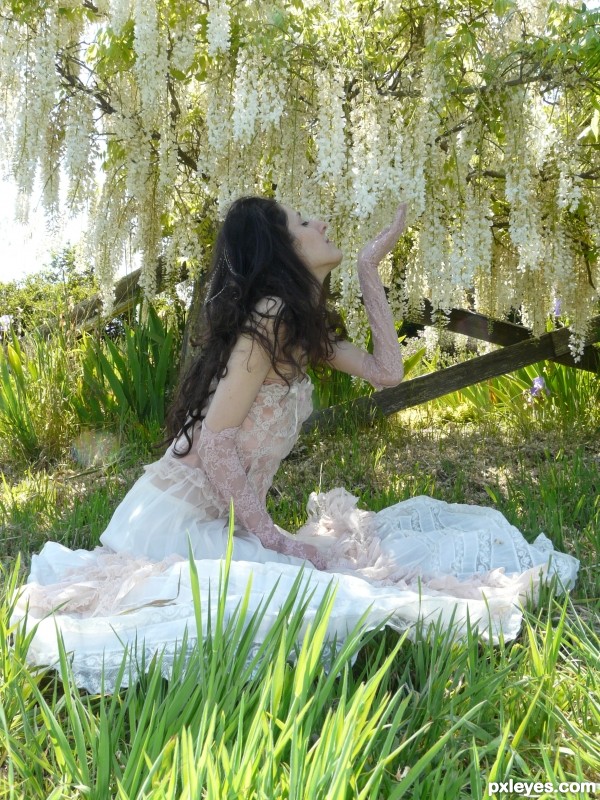 Creation of Lady in White: Step 1