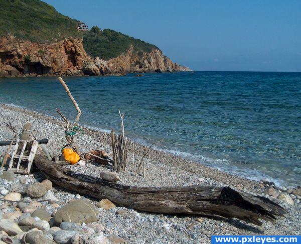 wood on the beach