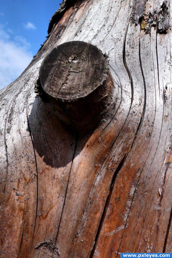 Driftwood texture