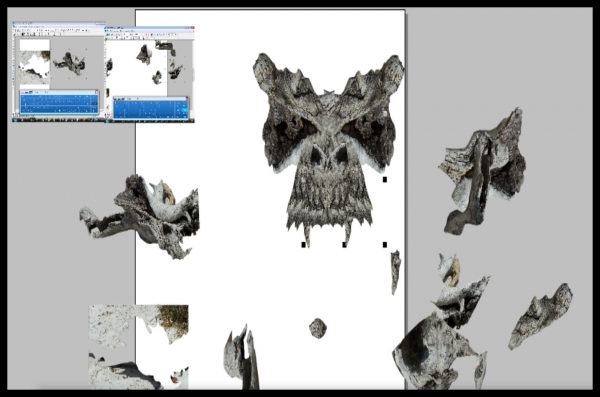 Creation of Bones: Step 3