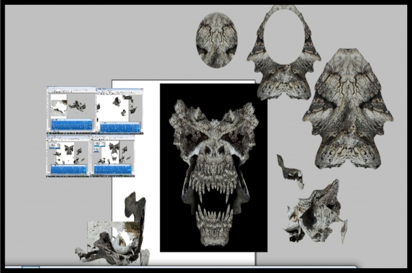 Creation of Bones: Step 5