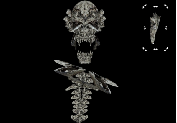 Creation of Bones: Step 8