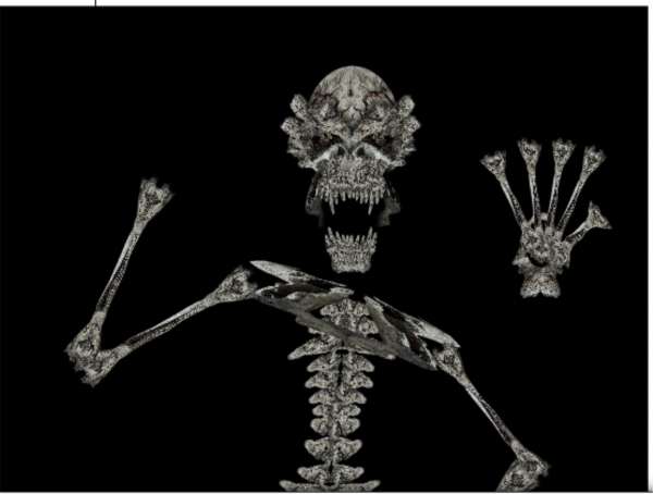 Creation of Bones: Step 10