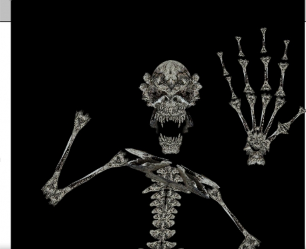 Creation of Bones: Step 11