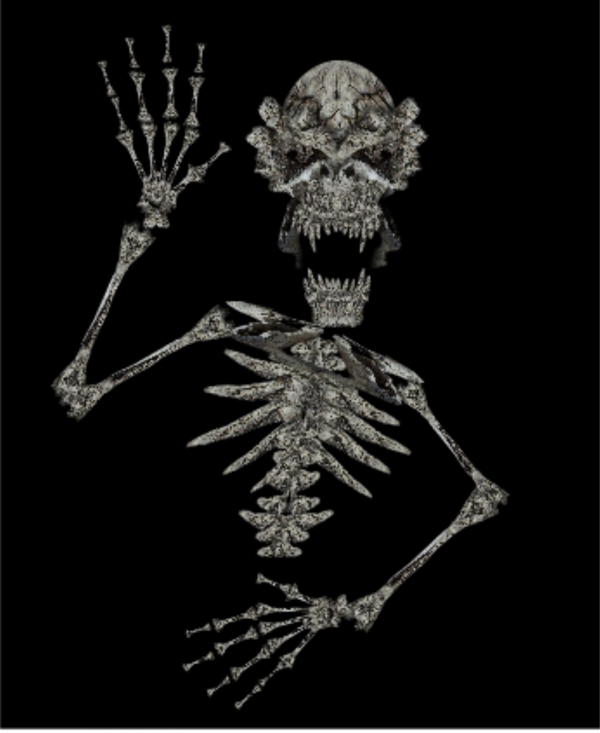 Creation of Bones: Step 12