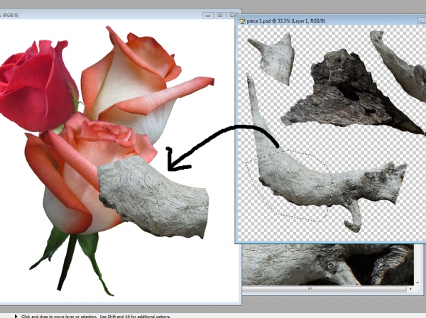 Creation of Drift Roses: Step 3