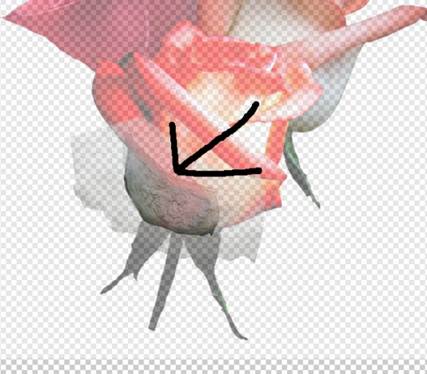 Creation of Drift Roses: Step 4