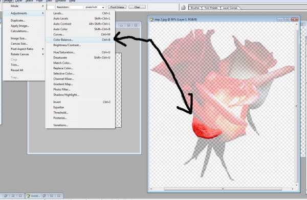 Creation of Drift Roses: Step 5