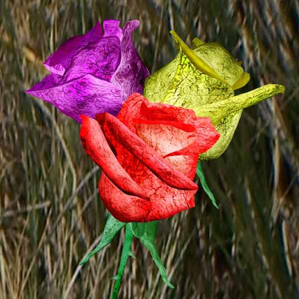 Creation of Drift Roses: Step 8