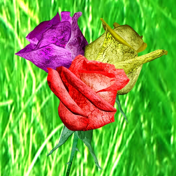 Creation of Drift Roses: Step 9