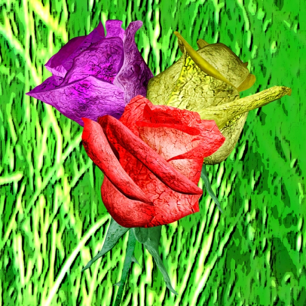 Creation of Drift Roses: Step 10